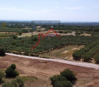 Zemljišče Poreč