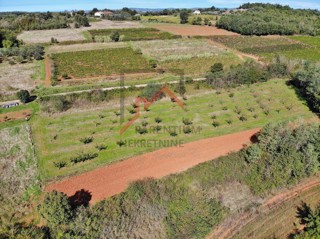 Istra, Vižinada - Zemljišče z gradbenim in kmetijskim delom