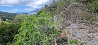 Ruševina z vinogradom POGLED NA MORJE (Žuljana/Pelješac)