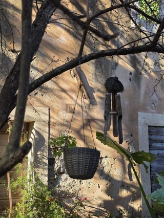 Kamnita hiša za obnovo z zemljiščem – Pelješac