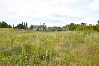 Okolica Krka, zemljišče s projektom za vilo z bazenom!