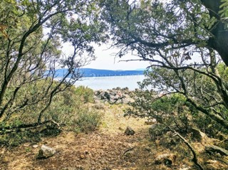 Okolica Krka, zemljišče z izhodom na naravno plažo!