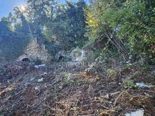 STARA KAMNITA RUŠEVINA Z VRTOM