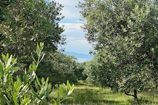 Kmetijsko zemljišće, prodaja, Mesto Krk, Hrvatska, 24399 m2, 630.000,00 EUR