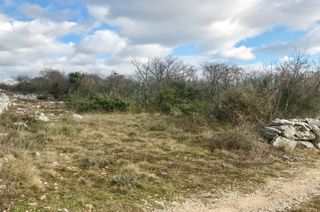 Kmetijsko zemljišće, prodaja, Mesto Krk, Hrvatska, 12500 m2, 110.000,00 EUR