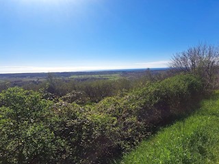 BUJE - ZAZIDLJIVO ZEMLJIŠČE S PANORAMSKIM POGLEDOM NA MORJE