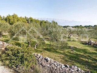 Nepremičnine Brač - Gradbeno zemljišče pravilne oblike na mirni lokaciji v Sumartinu, prodamo