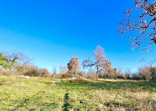 Kmetijsko zemljišče na odlični lokaciji, Režanci, Istra