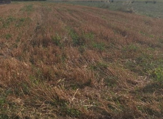 Krnica, zazidljivo zemljišče