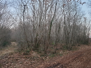 Kmetijsko zemljišče, 1895 m2, v okolici Barbana