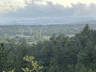 Veliko kmetijsko zemljišče v Roču