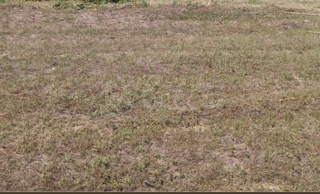 Gradbeno zemljišče, 800 m2, Valbandon