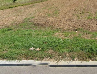 Zazidljivo zemljišče, projekt, gradbeno dovoljenje, Premantura
