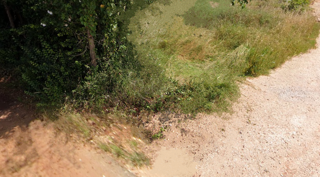 Zemljišče za gradnjo, 900 m2, Loborika