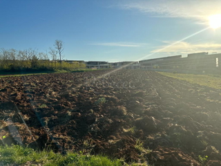 Istra, Savudrija, veliko gradbeno zemljišče za gradnjo vil, blizu morja