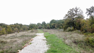 Gradbeno zemljišče, 4000 m2, Juršići