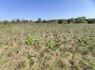 Kmetijsko zemljišče 700 m od centra in 3 km od morja