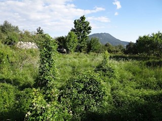 ISTRA, LANIŠĆE, BREST, KMETIJSKO ZEMLJIŠČE 41157 M2, POGLED NA MORJE