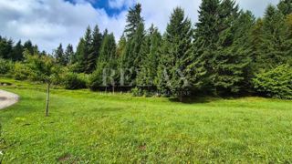 Gorski Kotar, Črni Lazi - zazidljivo zemljišče, 999 m2