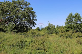 Stavbno zemljišče Štifanići, Poreč, 3.626m2