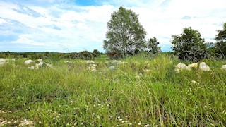 Stavbno zemljišče Umag, 506m2