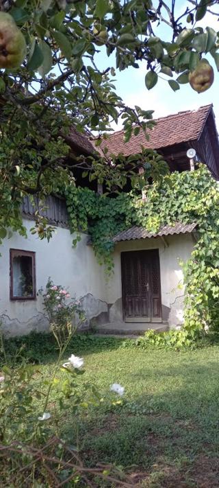 Hiša Bukevje, Orle, 65m2