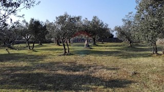 Stavbno zemljišče Peroj, Vodnjan, 3.039m2