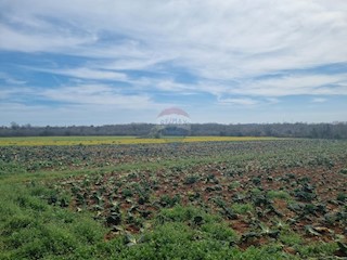 Šišan, Ližnjan, 9.530m2