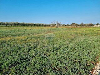 Galižana, Vodnjan, 1.100m2