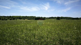 Stavbno zemljišče Kaštelir, Kaštelir-Labinci, 32.600m2