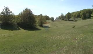 Stavbno zemljišče Jelenje, 43.564m2