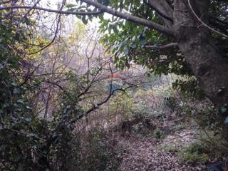 Stavbno zemljišče Trinajstići, Kastav, 870m2