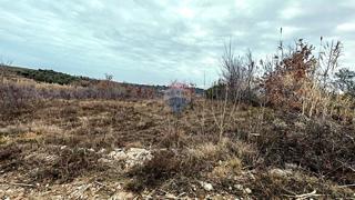 Stavbno zemljišče Buje, 4.242m2