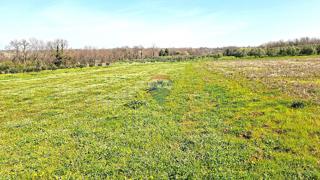 Stavbno zemljišče Brtonigla, 3.793m2