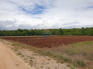 Bačva, Višnjan, 47.489m2