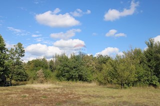 Sveti Lovreč, 12.796m2