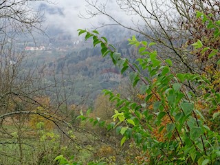 Mrzla Vodica, Lokve, 3.758m2