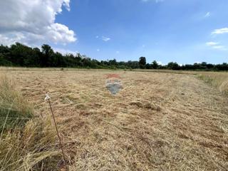 Šišan, Ližnjan, 880m2