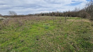 Bokordići, Svetvinčenat, 5.565m2