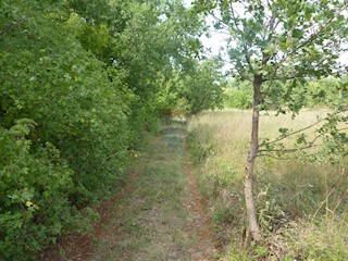 Stavbno zemljišče Baderna, Poreč, 14.850m2