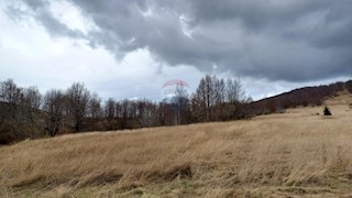 Stavbno zemljišče Stari Laz, Ravna Gora, 13.079m2