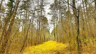 Stavbno zemljišče Završje, Grožnjan, 10.514m2