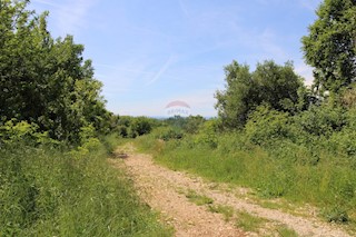 Stavbno zemljišče Tar, Tar-Vabriga, 6.581m2