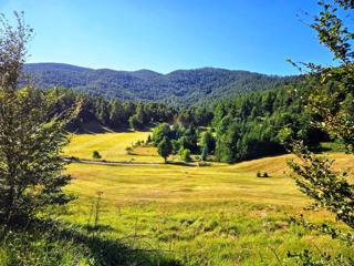 Stavbno zemljišče Jelenje, 5.004m2