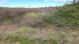 Stavbno zemljišče Murine, Umag, 898m2