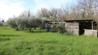 Stavbno zemljišče Baderna, Poreč, 3.080m2