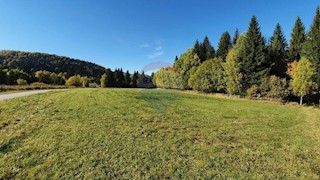 Leskova Draga, Ravna Gora, 8.207m2