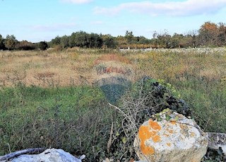 Salambati, Svetvinčenat, 2.935m2