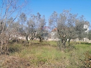 Galižana, Vodnjan, 932m2