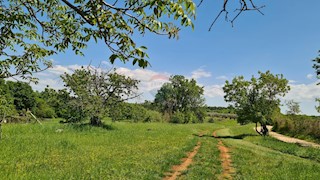 Poreč okolica, Poreč, 1.100m2